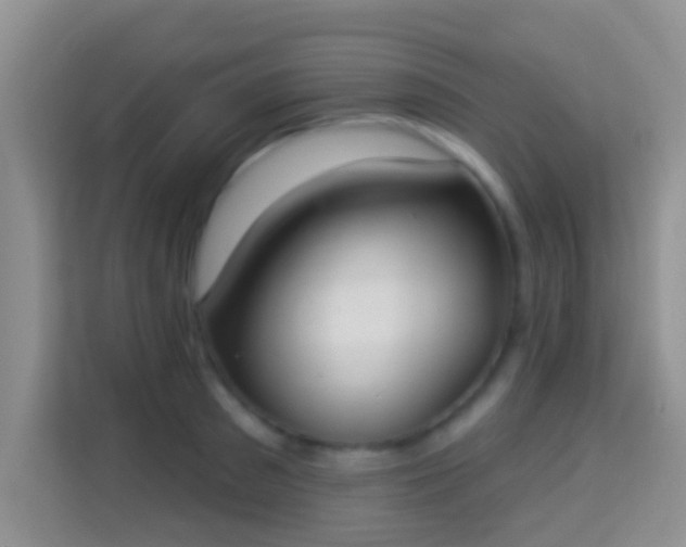 X0000113980897200910091315