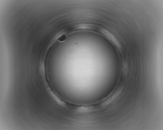 X0000113980898200910091315