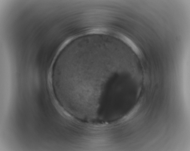 X0000113980899200910091315