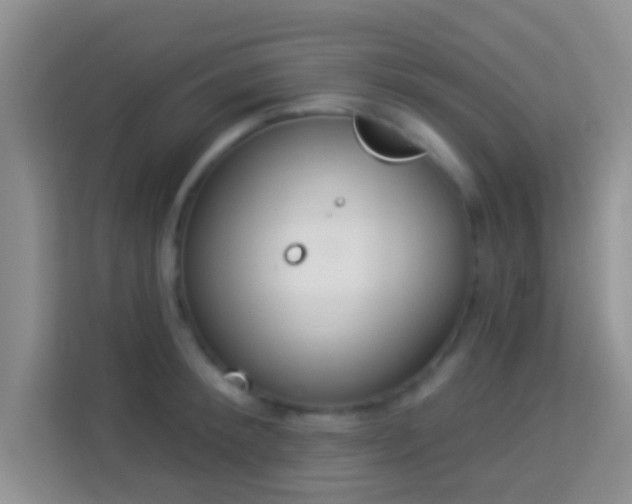 X0000113980900200910091315