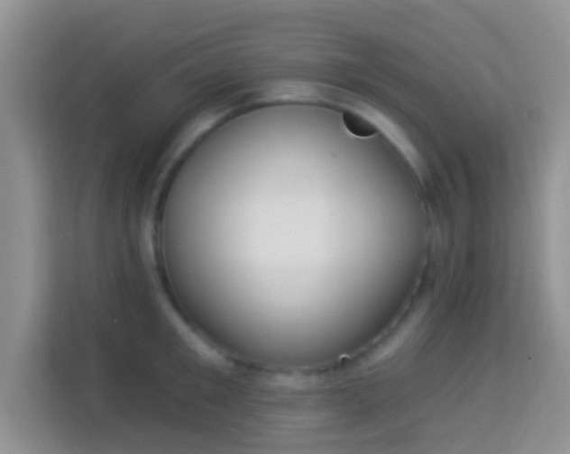 X0000113980901200910091315