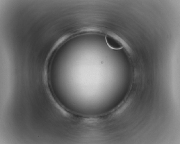 X0000113980902200910091315