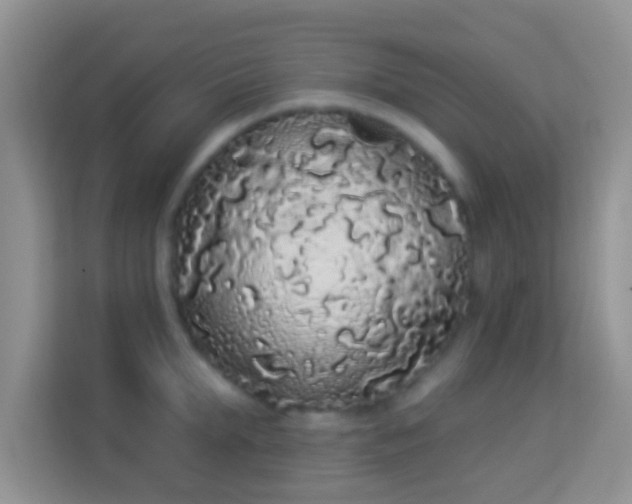 X0000113980903200910091315