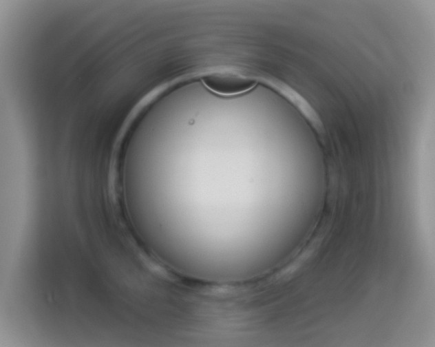 X0000113980904200910091315