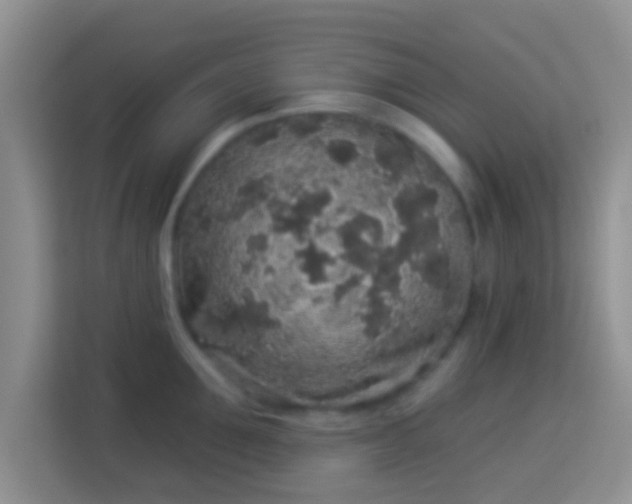 X0000113980907200910091315