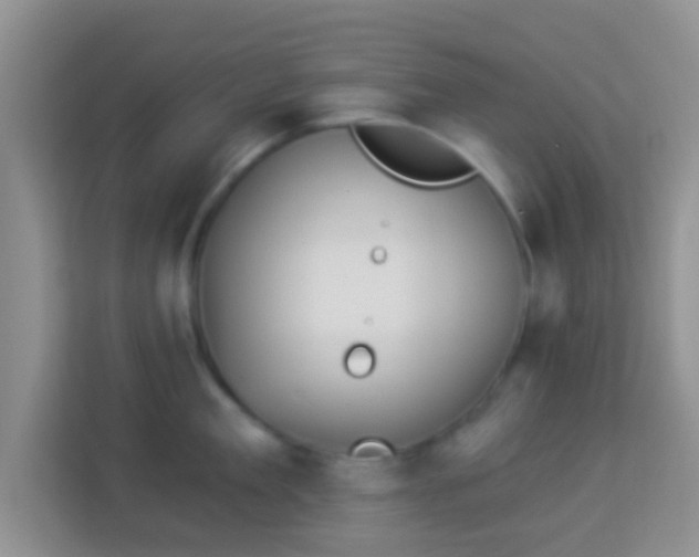 X0000113980909200910091315