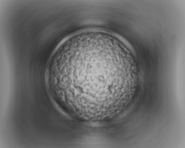 X0000113980911200910091315