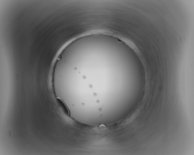 X0000113980912200910091315