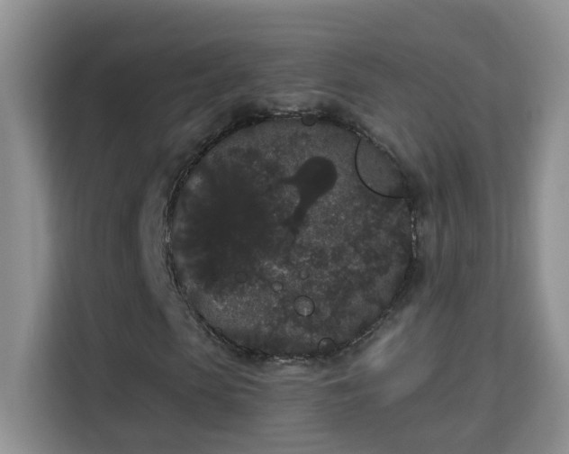 X0000113980913200910091315