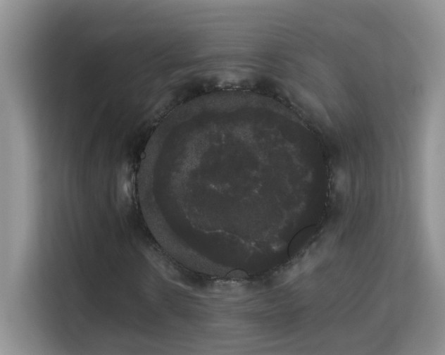 X0000113980914200910091315