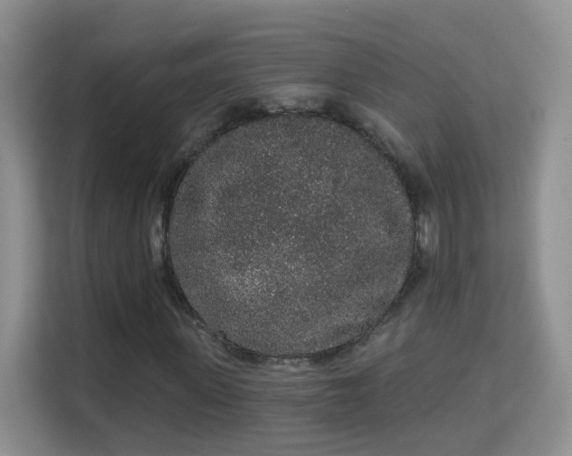 X0000113980915200910091315