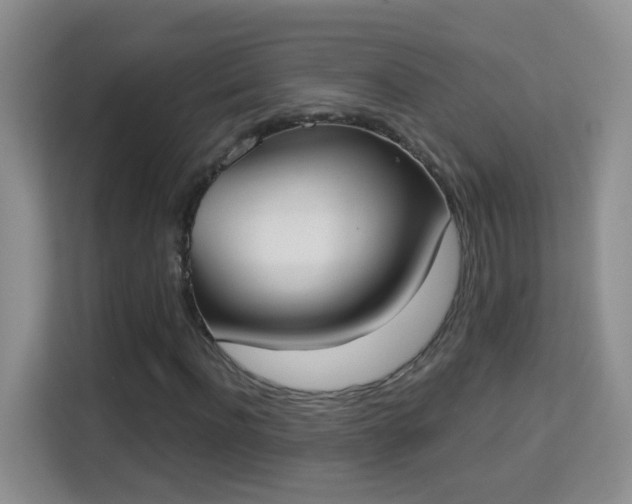 X0000113980916200910091315