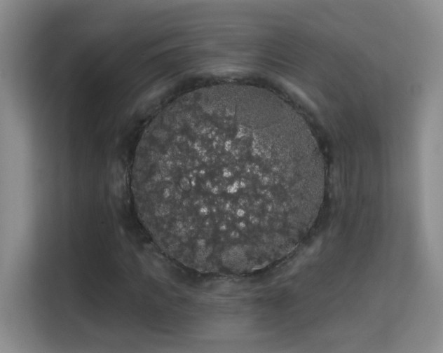 X0000113980917200910091315