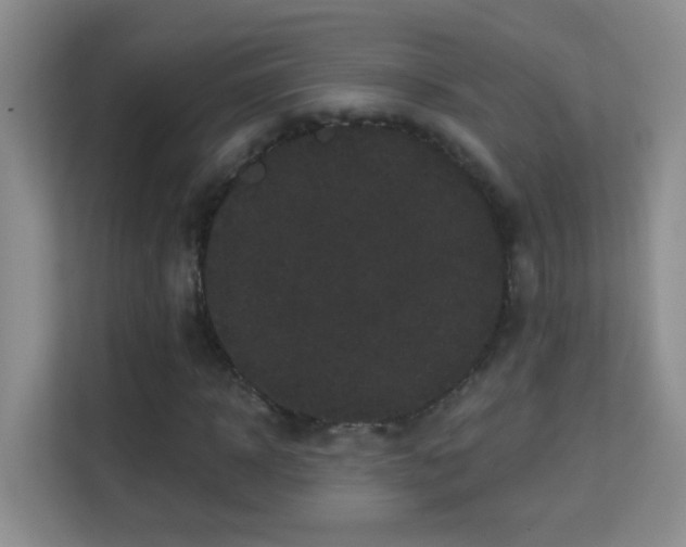 X0000113980918200910091315