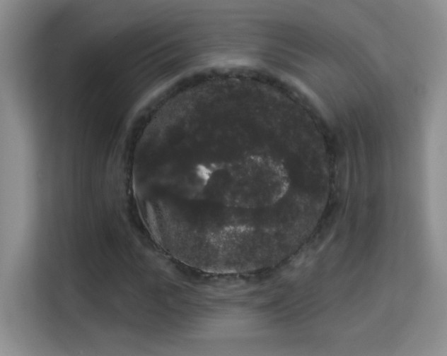 X0000113980919200910091315