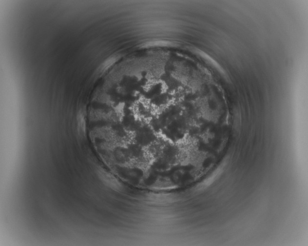 X0000113980921200910091315