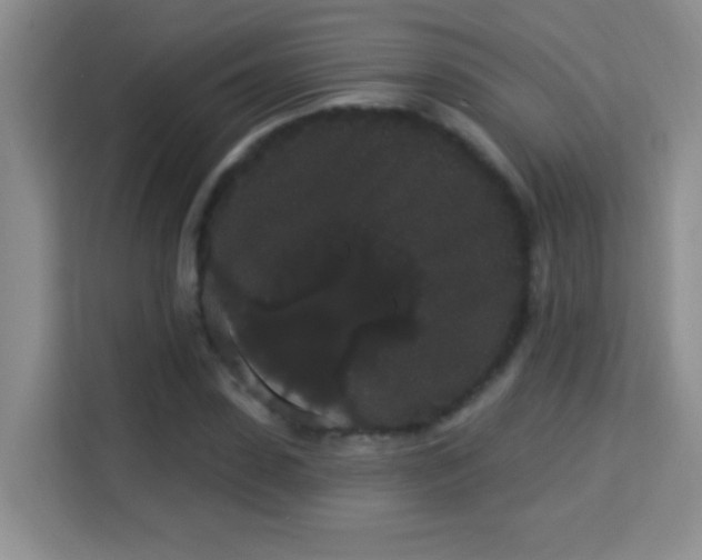 X0000113980923200910091315