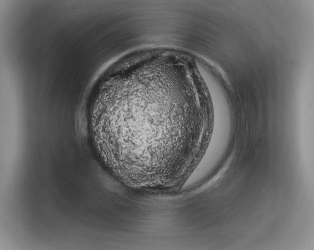 X0000113980925200910091315