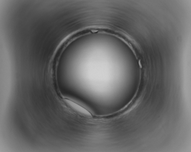 X0000113980926200910091315