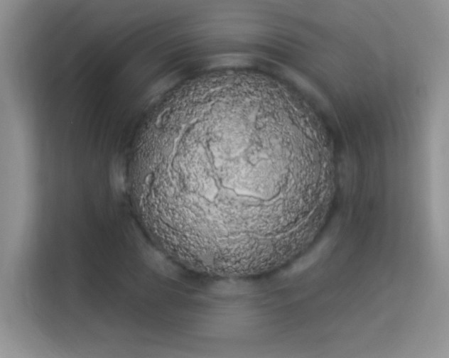 X0000113980929200910091315