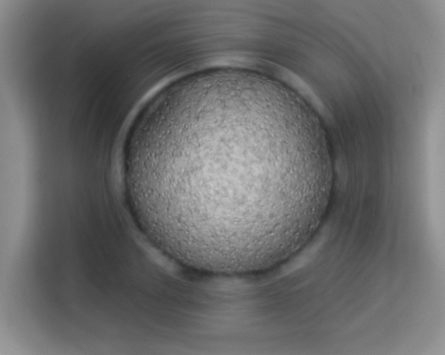 X0000113980931200910091315