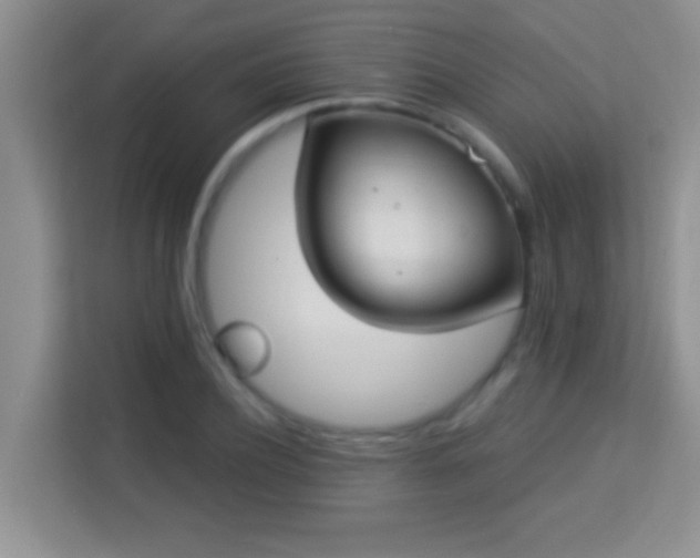 X0000113980932200910091315