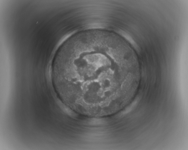 X0000113980933200910091315