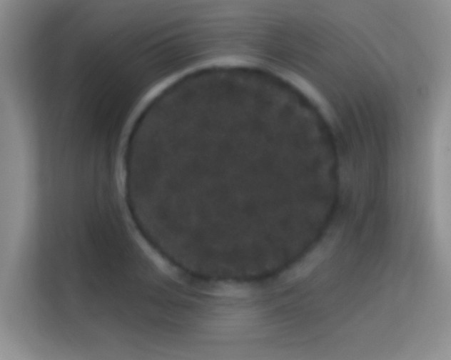 X0000113980935200910091315