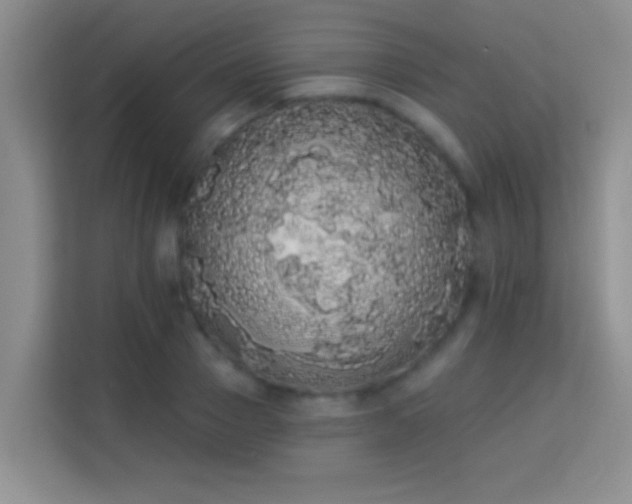 X0000113980937200910091315