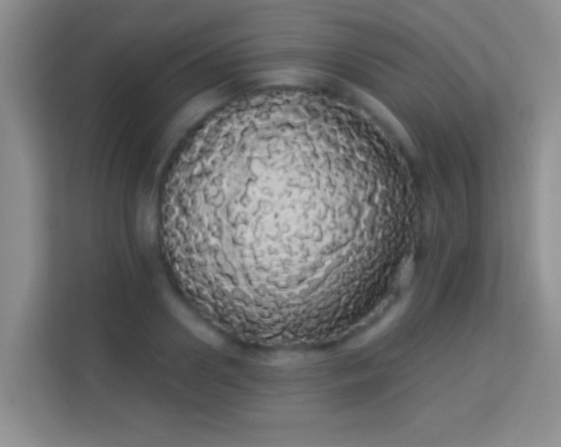 X0000113980938200910091315