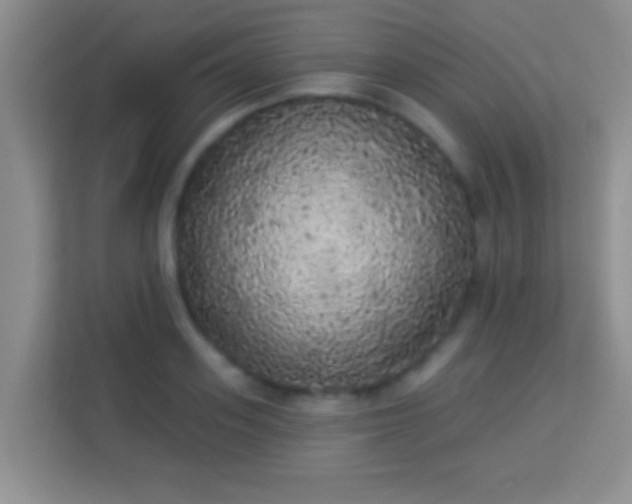 X0000113980939200910091315