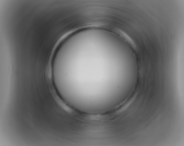 X0000113980940200910091315