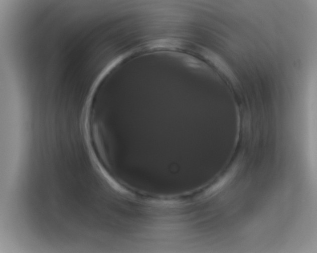 X0000113980941200910091315