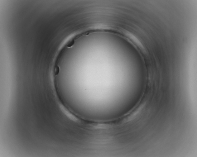 X0000113980942200910091315