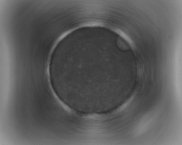 X0000113980943200910091315