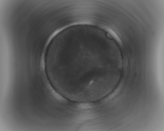 X0000113980944200910091315