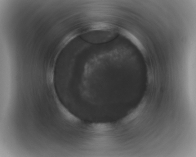 X0000113980946200910091315