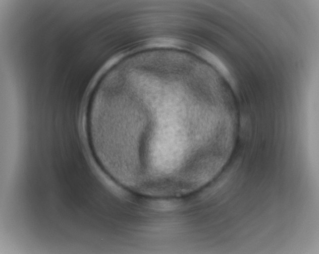 X0000113980947200910091315