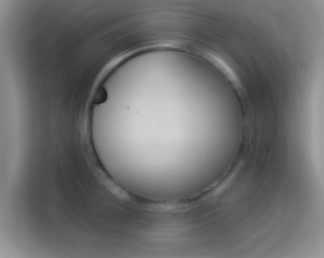 X0000113980948200910091315