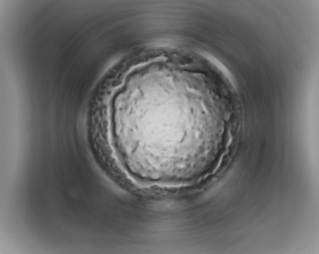 X0000113980949200910091315