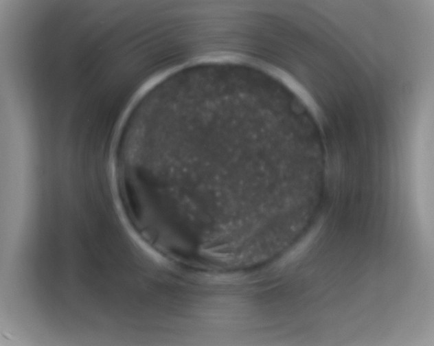 X0000113980951200910091315