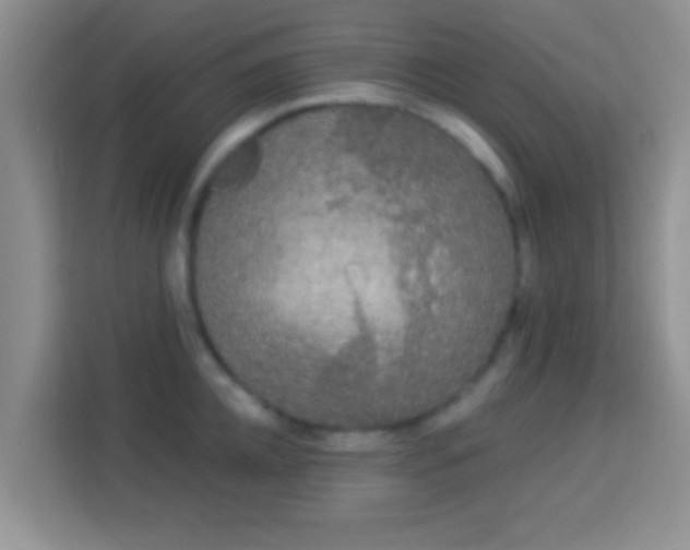 X0000113980952200910091315