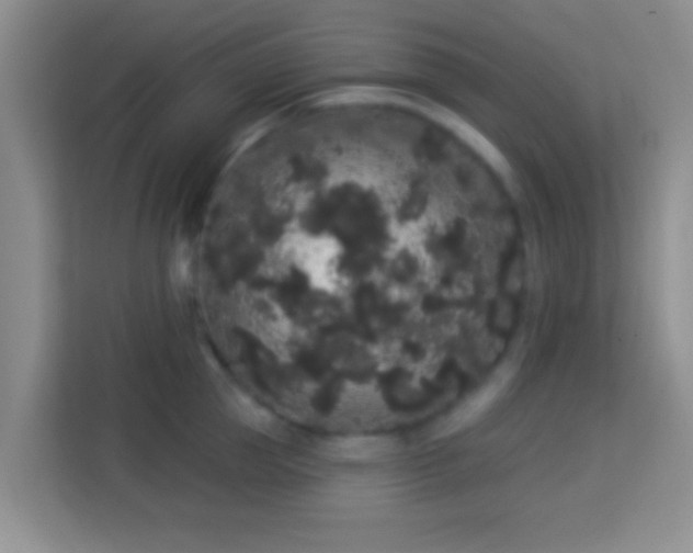 X0000113980953200910091315