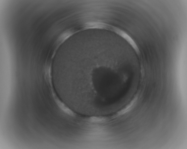 X0000113980954200910091315