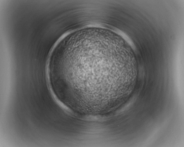 X0000113980955200910091315