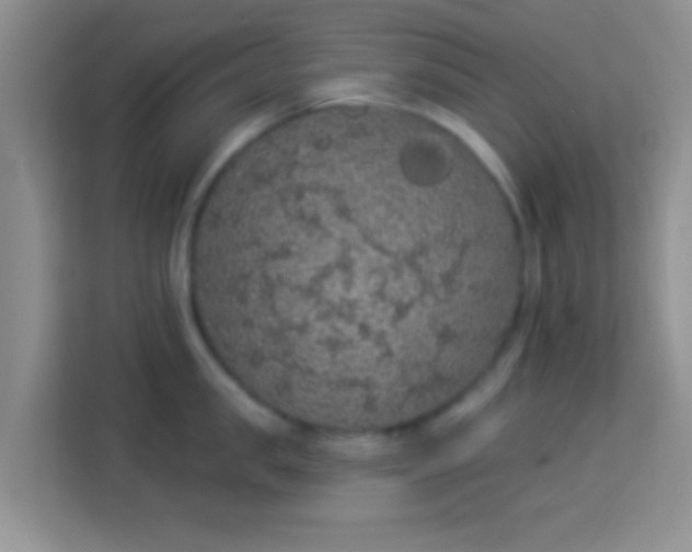 X0000113980957200910091315