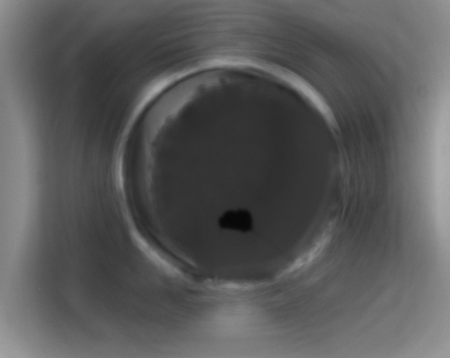 X0000113980958200910091315