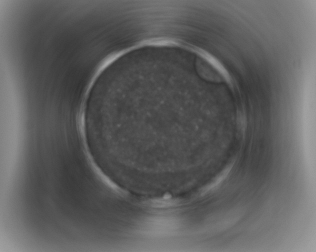 X0000113980959200910091315