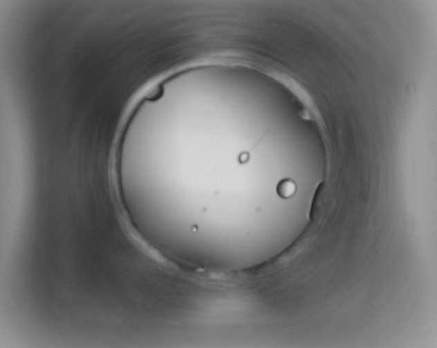 X0000113980960200910091315