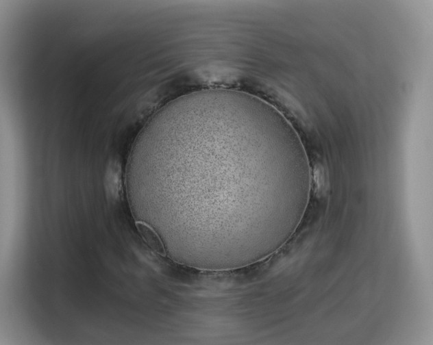 X0000113980963200910091315